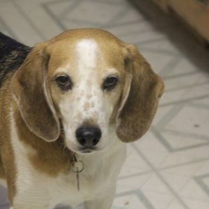 Meet your Posher, Maryann!!